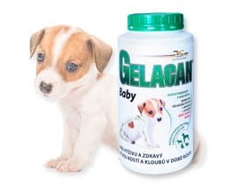 gelacan baby.jpg