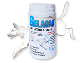 Gelacan® Chondro Forte( Chondrocan Forte )- Orling - 500 g.jpg