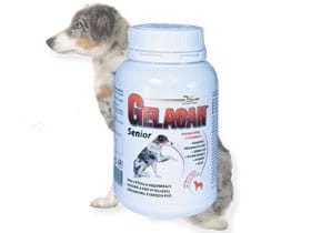 Gelacan Senior - Orling - 150 g.jpg
