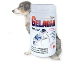 Gelacan Senior - Orling - 500 g.jpg