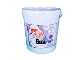 Gelapony-Arthro-10,800.jpg