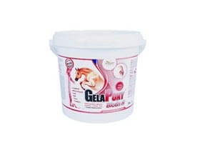 GelaPony-Biotin-H-1200-g.jpg