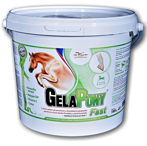 GelaPony Fast - Orling - 1800 g.jpg