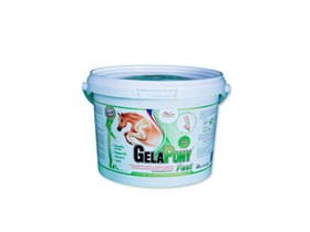 GelaPony Fast - Orling - 600 g.jpg