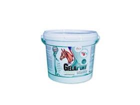 gelapony-vitamin-1800.jpg