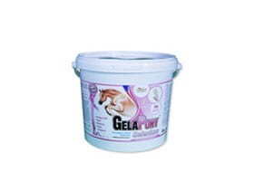 gelapony-selenium-1800.jpg