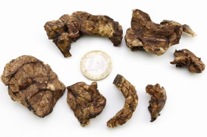 Lunderland Płuco wołowe podłużne kawałki  500 g