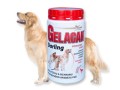 gelacan-darling-500.jpg