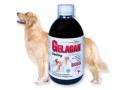 gelacan-darling-biosol-pes.jpg