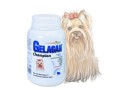 gelacan-champion150.jpg
