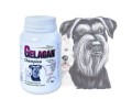 gelacan-champion-150.jpg