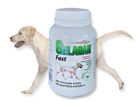 gelacan-fast-150g-labrador-a.jpg