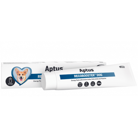 aptus-recobooster-dog.jpg