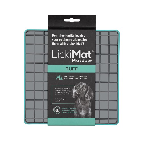 LM Playdate Tuff Turquoise.jpg