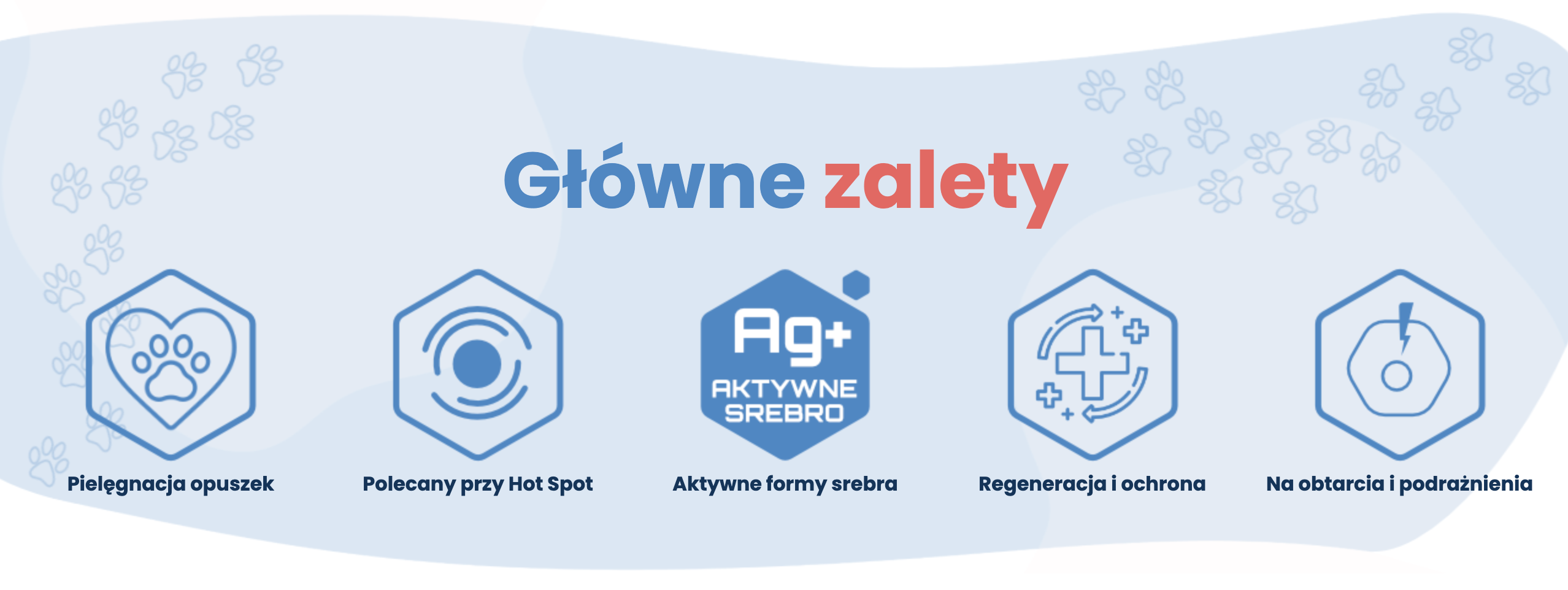 Ochrona i regeneracja psich łap – aktywne formy srebra